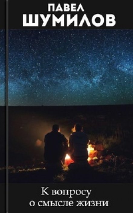 К вопросу о смысле жизни - Павел Шумилов - Слушаем Лучшие Аудиокниги в Онлайн Библиотеке Бесплатно