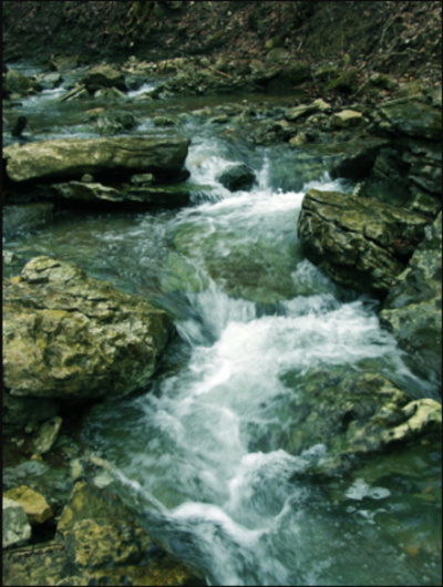 Пилигрим - Морион Семенов - Слушаем Лучшие Аудиокниги в Онлайн Библиотеке Бесплатно