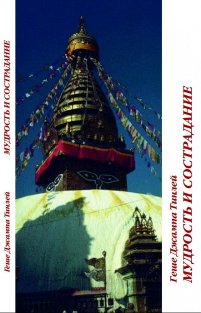 Мудрость и сострадание - Геше Джампа Тинлей - Слушаем Лучшие Аудиокниги в Онлайн Библиотеке Бесплатно