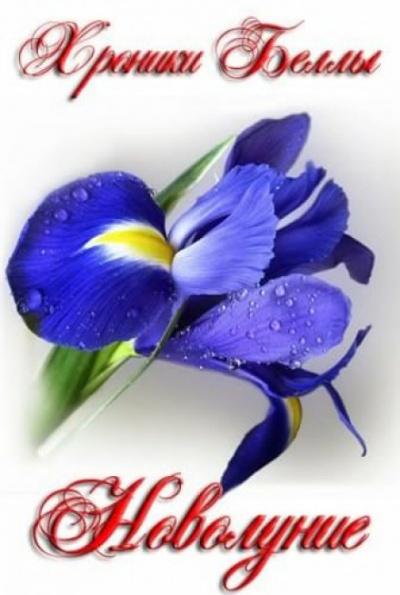 Новолуние - Екатерина Мишина - Слушаем Лучшие Аудиокниги в Онлайн Библиотеке Бесплатно