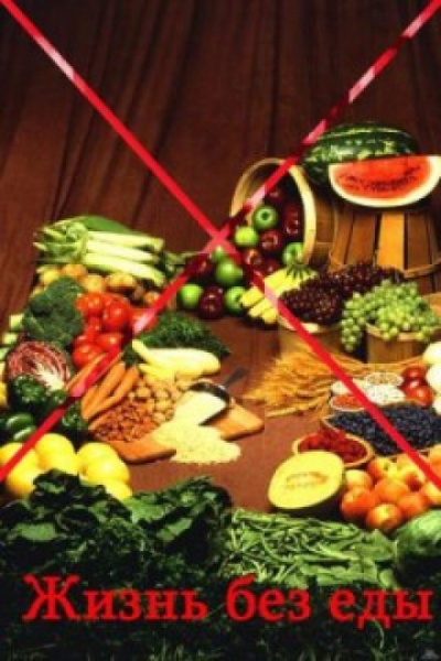 Жизнь без еды - Йоахим Вердин - Слушаем Лучшие Аудиокниги в Онлайн Библиотеке Бесплатно