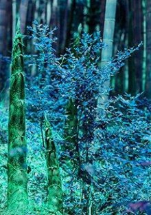 Отец-двойник - Филип Дик - Слушаем Лучшие Аудиокниги в Онлайн Библиотеке Бесплатно