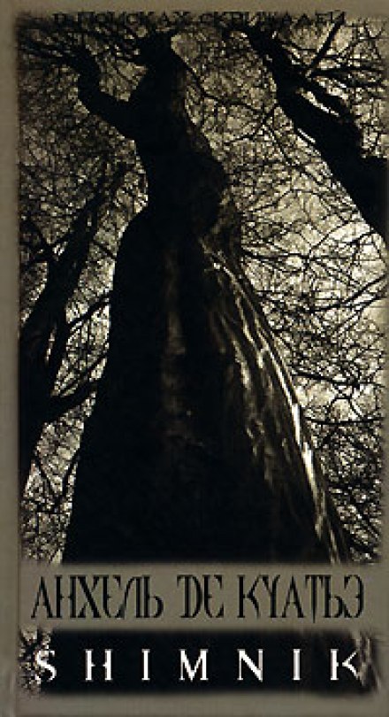 Схимник - Анхель де Куатьэ - Слушаем Лучшие Аудиокниги в Онлайн Библиотеке Бесплатно