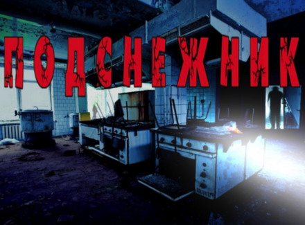 Подснежник - Георгий Немов - Слушаем Лучшие Аудиокниги в Онлайн Библиотеке Бесплатно