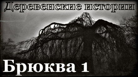 Брюква - Роман Пономарев - Слушаем Лучшие Аудиокниги в Онлайн Библиотеке Бесплатно