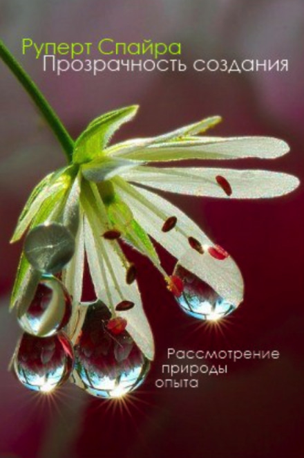 Прозрачность создания - Руперт Спайра - Слушаем Лучшие Аудиокниги в Онлайн Библиотеке Бесплатно