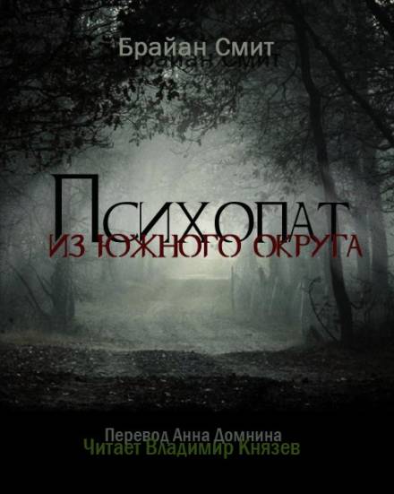 Психопат из южного округа - Брайан Смит - Слушаем Лучшие Аудиокниги в Онлайн Библиотеке Бесплатно
