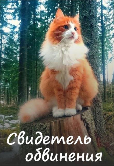 Свидетель обвинения - Алена Волгина - Слушаем Лучшие Аудиокниги в Онлайн Библиотеке Бесплатно