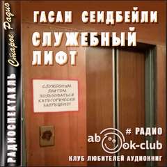 Служебный лифт - Гасан Сеидбейли - Слушаем Лучшие Аудиокниги в Онлайн Библиотеке Бесплатно