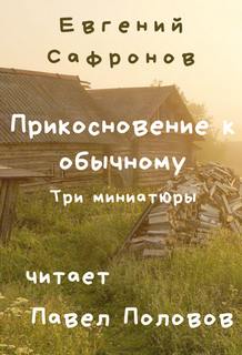 Прикосновение к обычному. Три миниатюры - Евгений Сафронов - Слушаем Лучшие Аудиокниги в Онлайн Библиотеке Бесплатно