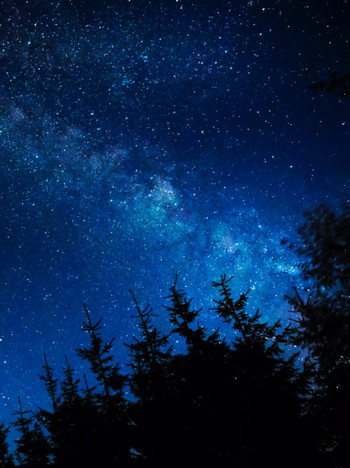 Эй, вы, там внизу - Гарольд Рольсет - Слушаем Лучшие Аудиокниги в Онлайн Библиотеке Бесплатно