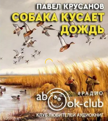 Собака кусает дождь - Павел Крусанов - Слушаем Лучшие Аудиокниги в Онлайн Библиотеке Бесплатно