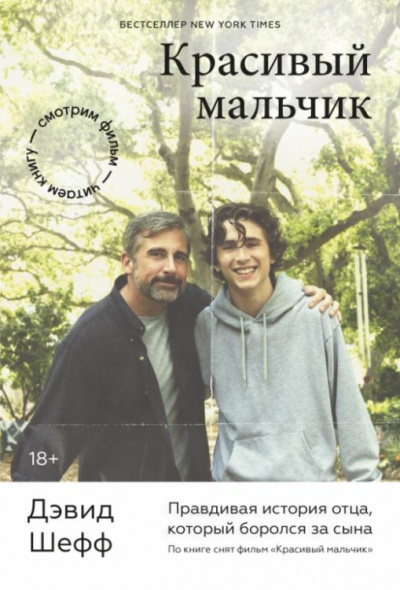 Красивый мальчик. Правдивая история отца, который боролся за сына - Дэвид Шефф - Слушаем Лучшие Аудиокниги в Онлайн Библиотеке Бесплатно