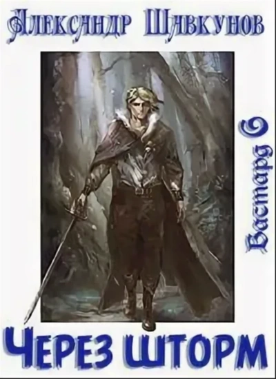Через шторм - Александр Шавкунов - Слушаем Лучшие Аудиокниги в Онлайн Библиотеке Бесплатно