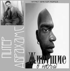 Живущие в ночи - Питер Абрахамс - Слушаем Лучшие Аудиокниги в Онлайн Библиотеке Бесплатно