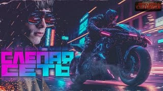 Слепая сеть - Борис Вишняков - Слушаем Лучшие Аудиокниги в Онлайн Библиотеке Бесплатно