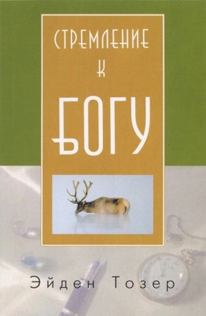 Стремление к Богу - Эйден Тозер - Слушаем Лучшие Аудиокниги в Онлайн Библиотеке Бесплатно