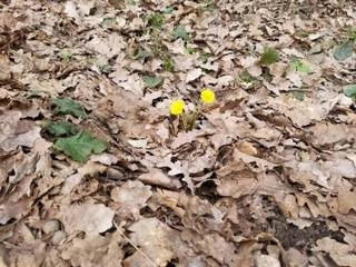 Рефлектор - Ирина Катыкова - Слушаем Лучшие Аудиокниги в Онлайн Библиотеке Бесплатно