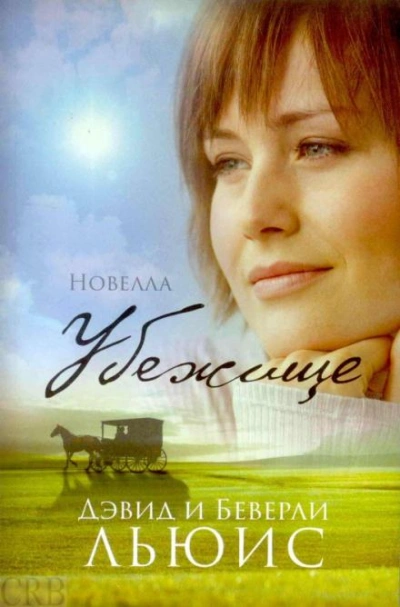 Убежище - Льюис Дэвид - Слушаем Лучшие Аудиокниги в Онлайн Библиотеке Бесплатно