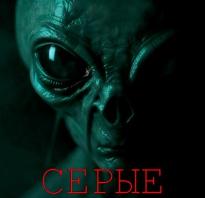 Серые - Алексей Грибанов - Слушаем Лучшие Аудиокниги в Онлайн Библиотеке Бесплатно