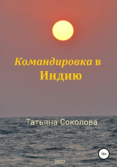 Командировка в Индию - Татьяна Соколова - Слушаем Лучшие Аудиокниги в Онлайн Библиотеке Бесплатно
