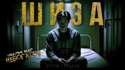 Шиза - Артем Горохов - Слушаем Лучшие Аудиокниги в Онлайн Библиотеке Бесплатно