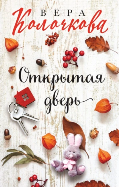 Открытая дверь - Вера Колочкова - Слушаем Лучшие Аудиокниги в Онлайн Библиотеке Бесплатно
