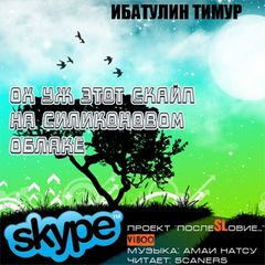 Ох уж этот скайп на силиконовом облаке - Слушаем Лучшие Аудиокниги в Онлайн Библиотеке Бесплатно