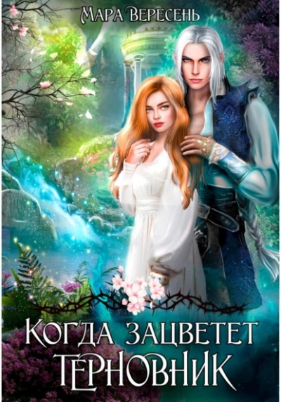 Когда зацветет терновник - Мара Вересень - Слушаем Лучшие Аудиокниги в Онлайн Библиотеке Бесплатно