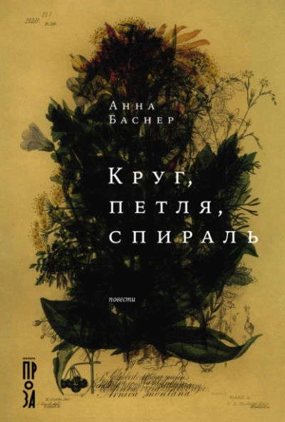 Круг, петля, спираль - Анна Баснер - Слушаем Лучшие Аудиокниги в Онлайн Библиотеке Бесплатно