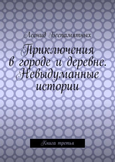 Приключения в городе и деревне. Невыдуманные истории - Леонид Беспамятных - Слушаем Лучшие Аудиокниги в Онлайн Библиотеке Бесплатно
