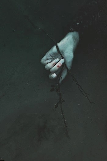 Пустоцвет (Сборник) - Игорь Шанин - Слушаем Лучшие Аудиокниги в Онлайн Библиотеке Бесплатно