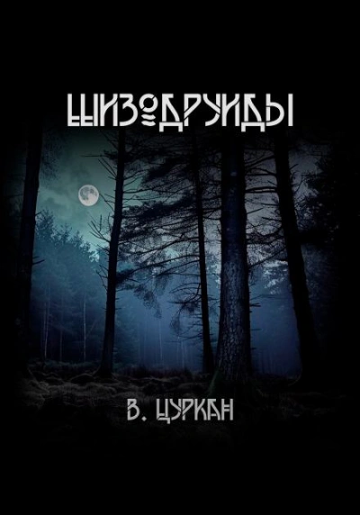 Шизодруиды - Валерий Цуркан - Слушаем Лучшие Аудиокниги в Онлайн Библиотеке Бесплатно