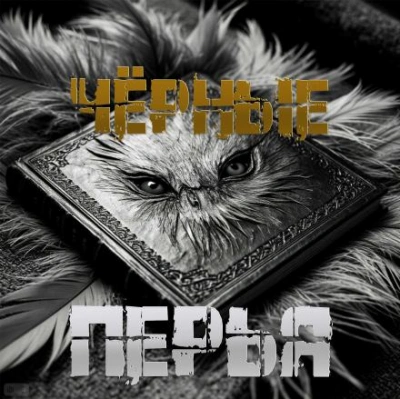 Чёрные перья - Артём Артёмов - Слушаем Лучшие Аудиокниги в Онлайн Библиотеке Бесплатно