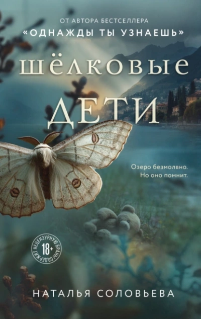 Шелковые дети - Наталья Соловьева - Слушаем Лучшие Аудиокниги в Онлайн Библиотеке Бесплатно