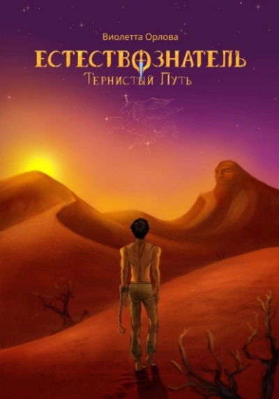 Тернистый путь - Виолетта Орлова - Слушаем Лучшие Аудиокниги в Онлайн Библиотеке Бесплатно