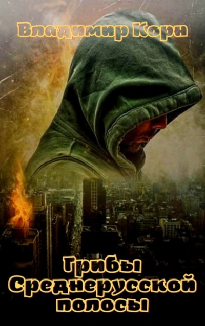 Грибы Среднерусской полосы - Владимир Корн - Слушаем Лучшие Аудиокниги в Онлайн Библиотеке Бесплатно