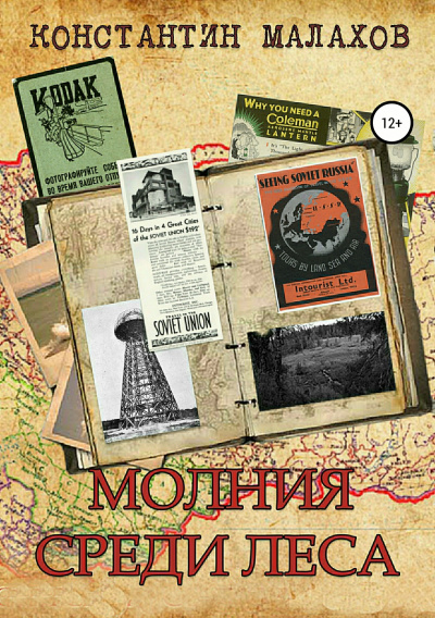 Молния среди леса - Константин Малахов - Слушаем Лучшие Аудиокниги в Онлайн Библиотеке Бесплатно