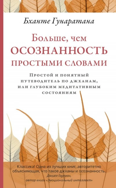 Больше, чем осознанность простыми словами. Простой и понятный путеводитель по джханам, или глубоким - Бханте Хенепола Гунаратана - Слушаем Лучшие Аудиокниги в Онлайн Библиотеке Бесплатно