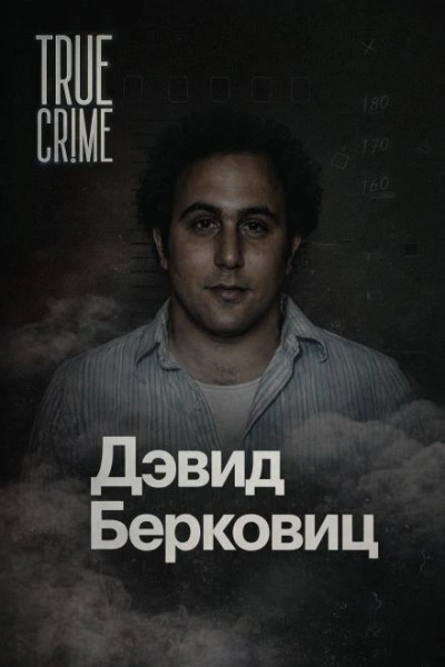 Письма, которые взорвали город - Слушаем Лучшие Аудиокниги в Онлайн Библиотеке Бесплатно