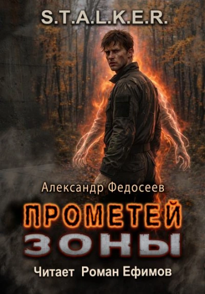 S.T.A.L.K.E.R. Прометей Зоны - Александр Федосеев - Слушаем Лучшие Аудиокниги в Онлайн Библиотеке Бесплатно