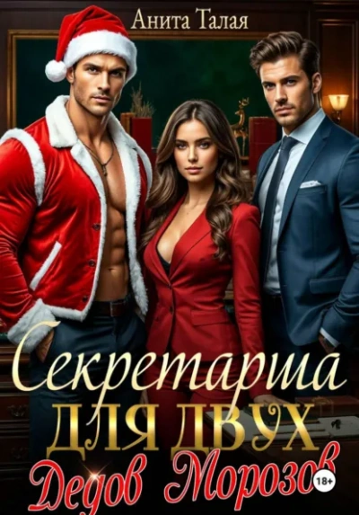 Секретарша для двух Дедов Морозов - Анита Талая - Слушаем Лучшие Аудиокниги в Онлайн Библиотеке Бесплатно