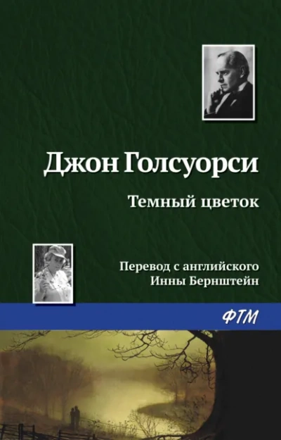 Темный Цветок - Джон Голсуорси - Слушаем Лучшие Аудиокниги в Онлайн Библиотеке Бесплатно