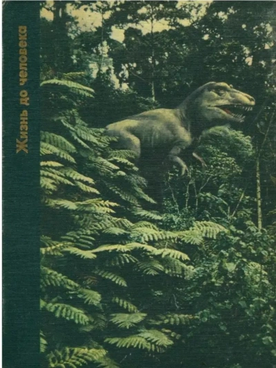 Жизнь до человека - Питер Вуд - Слушаем Лучшие Аудиокниги в Онлайн Библиотеке Бесплатно