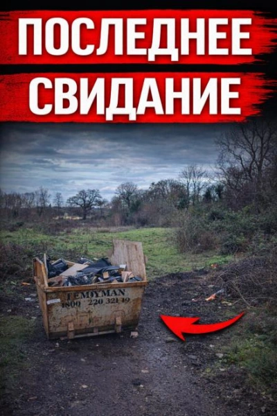 Исчезновение, которое потрясло Британию - Слушаем Лучшие Аудиокниги в Онлайн Библиотеке Бесплатно