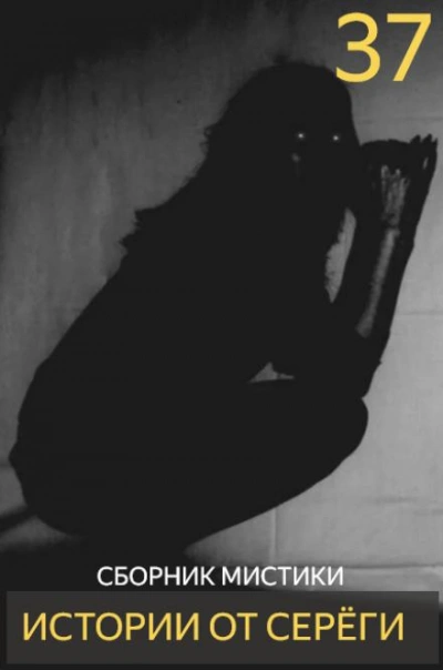 Истории от Серёги 37 - Слушаем Лучшие Аудиокниги в Онлайн Библиотеке Бесплатно