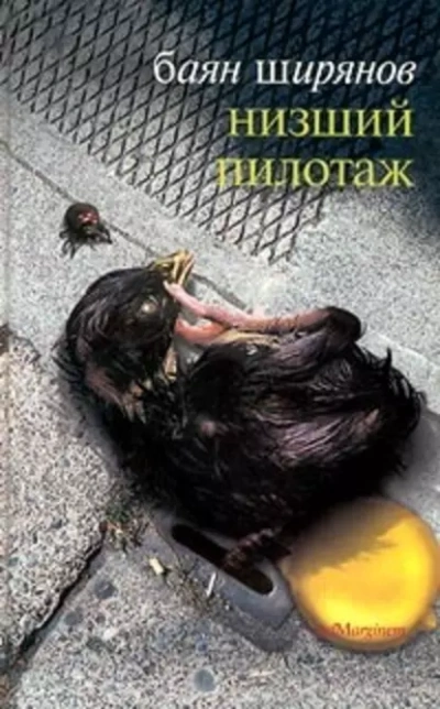 Низший Пилотаж - Баян Ширянов - Слушаем Лучшие Аудиокниги в Онлайн Библиотеке Бесплатно