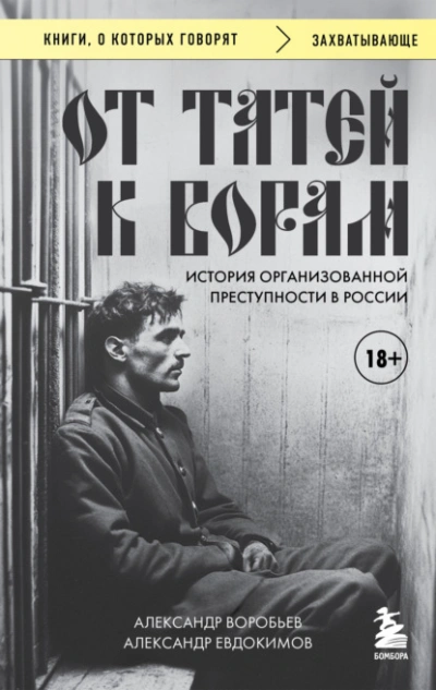 От татей к ворам. История организованной преступности в России - Александр Воробьев, Александр Евдокимов - Слушаем Лучшие Аудиокниги в Онлайн Библиотеке Бесплатно