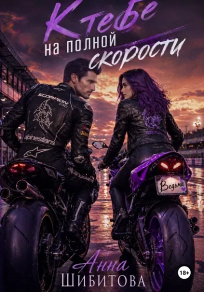 К тебе на полной скорости - Анна Шибитова - Слушаем Лучшие Аудиокниги в Онлайн Библиотеке Бесплатно