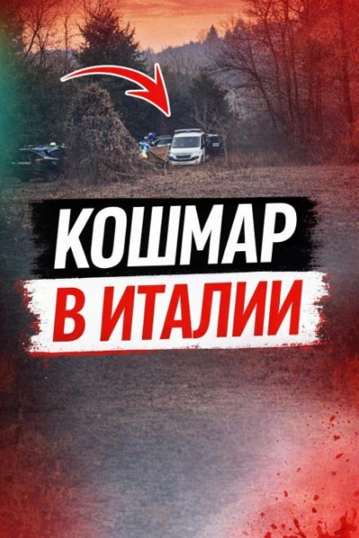 Чемодан среди леса - Слушаем Лучшие Аудиокниги в Онлайн Библиотеке Бесплатно
